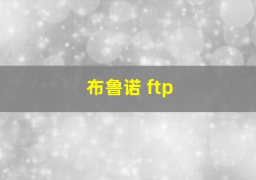 布鲁诺 ftp